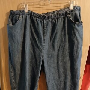 Chic Women’s Plus Size 26W Average Jeans Pull On Elastic Waist Side Pockets Blue
